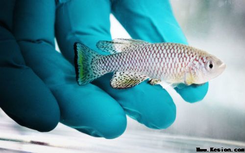 申博sunbet·(中国)官方网站