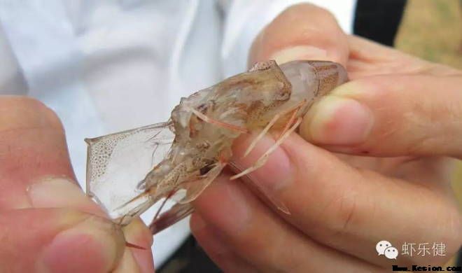 申博sunbet·(中国)官方网站