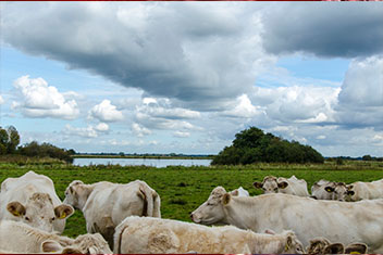 申博sunbet·(中国)官方网站