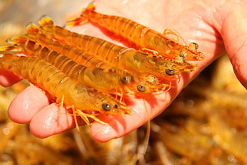 申博sunbet·(中国)官方网站