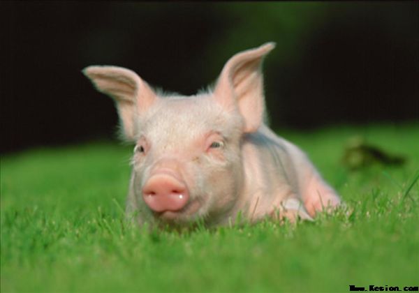 申博sunbet·(中国)官方网站